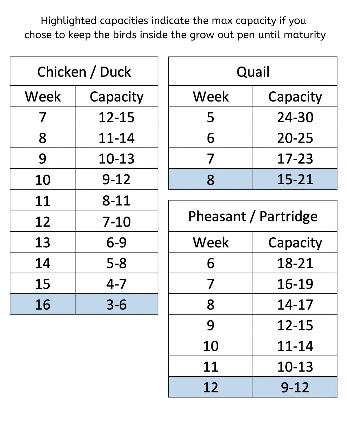 Cimuka Grow Out Pen Capacity (Model: GL40-03-1K) - HatchingTime