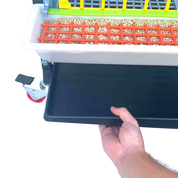 Pulling Manure Tray Out Of Grow Out Pen - Hatching Time